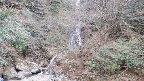 茂みから見た常光寺の滝