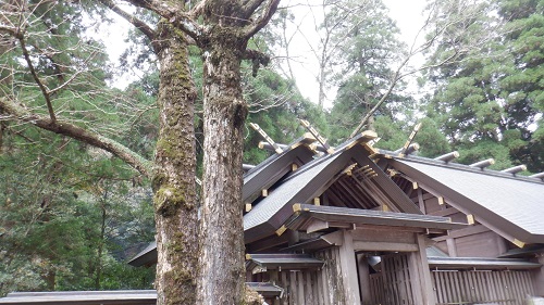 天岩戸神社拝殿の一部分