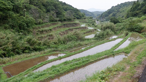 水の口湧水周辺の棚田