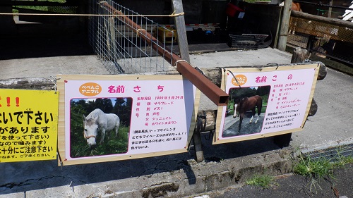 べべんこの馬の紹介看板