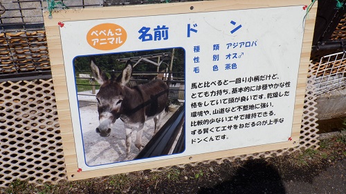 べべんこのドンの説明看板