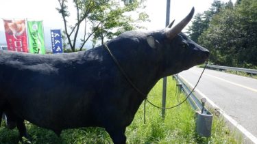 大分県の九重町で一休み！ 動物とふれあえる【べべんこ】