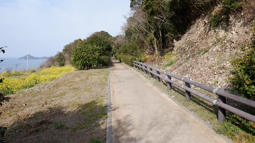 遊歩道か見える海