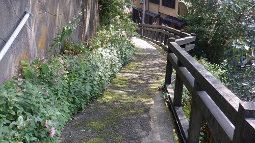 筋湯温泉駐車場からの道