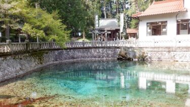 名水百選の1つ【別府弁天池】！幻想的な光景が魅力の湧水