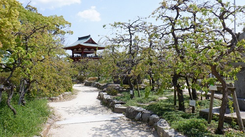 防府天満宮敷地内